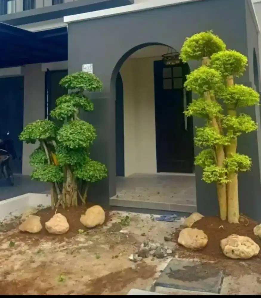 Kolam dan taman rumah