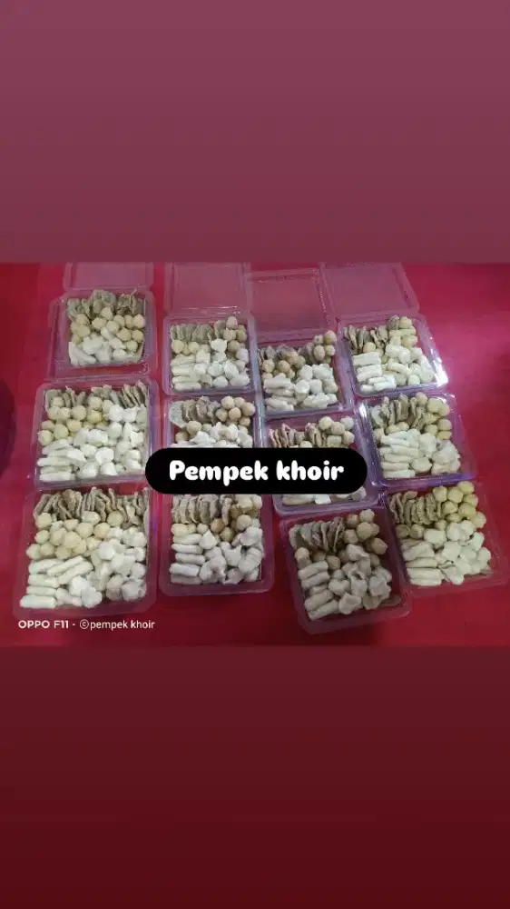 Aneka pempek model tekwan bisa kirim luar kota