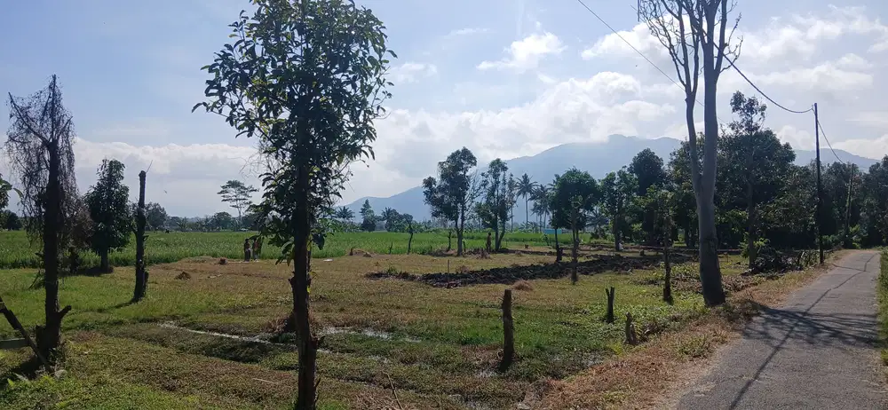 Tanah Untuk dibangun rumah di Wanaraja Garut