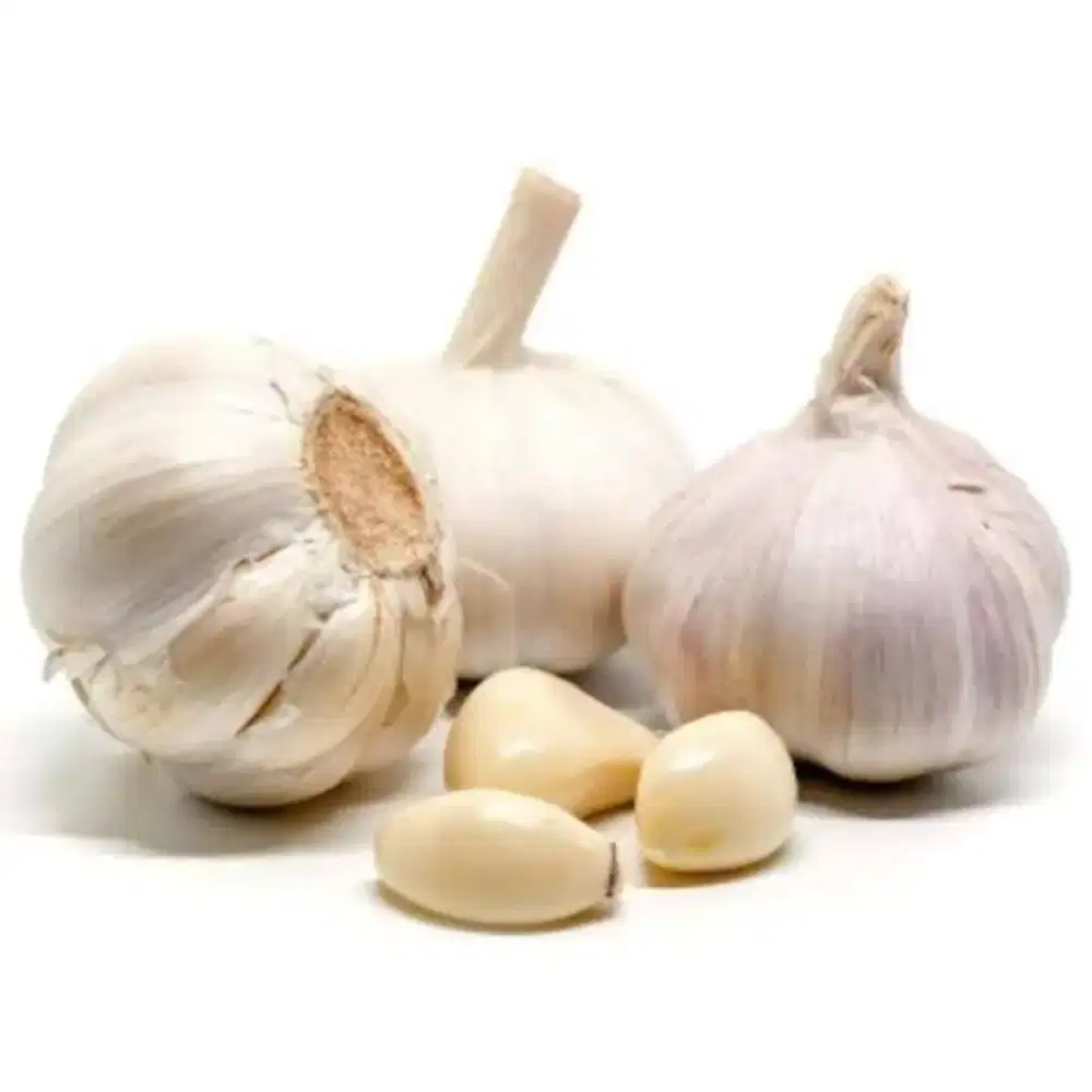 Bawang Putih Honam Royal Phoenix