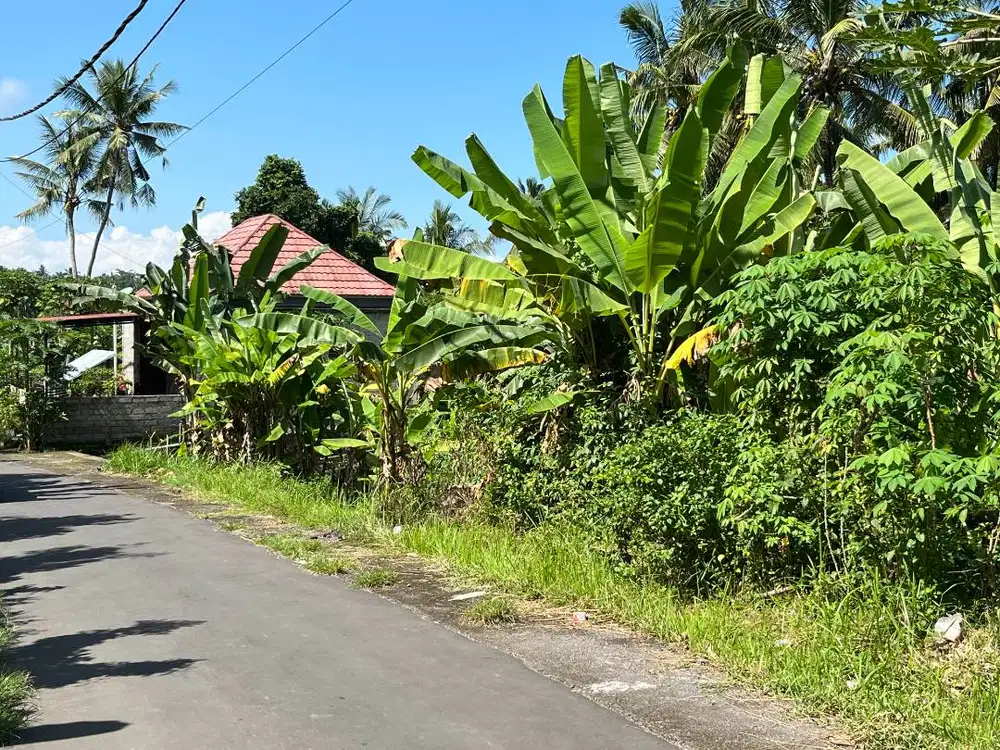 Large land, in the hills behind Amlapura, with ocean view.