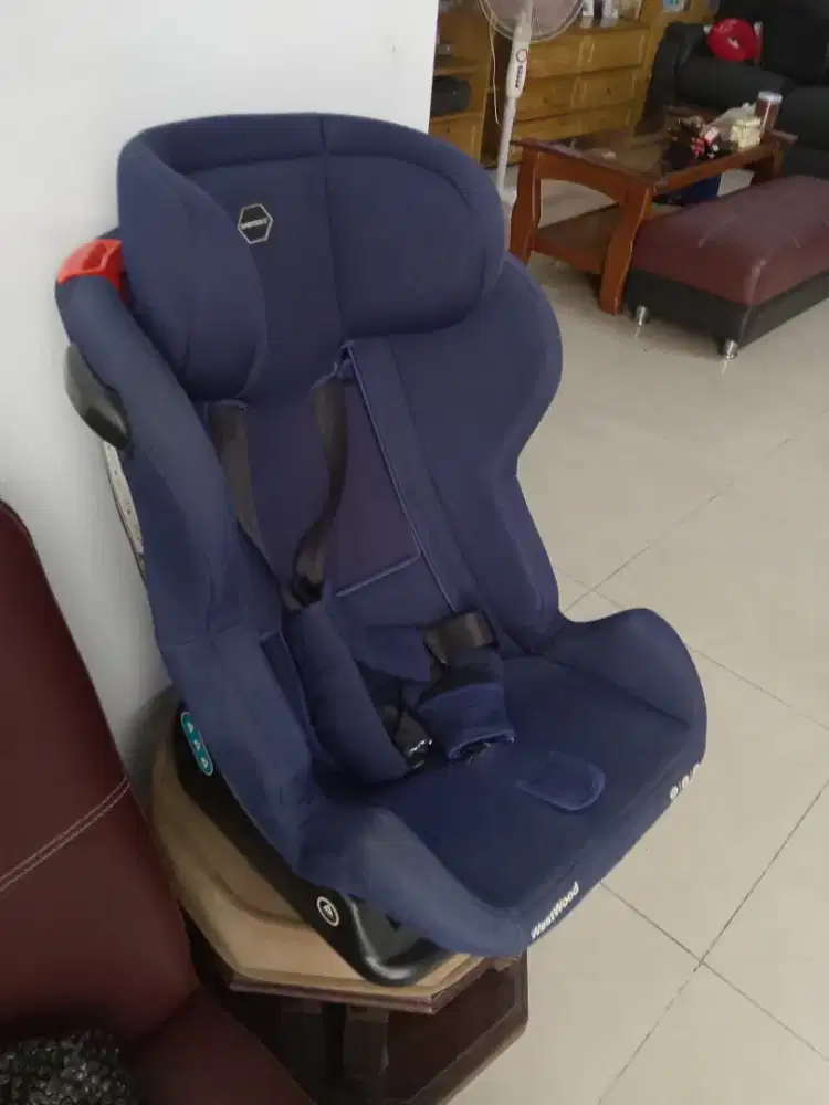 Carseat Babydoes Westwood