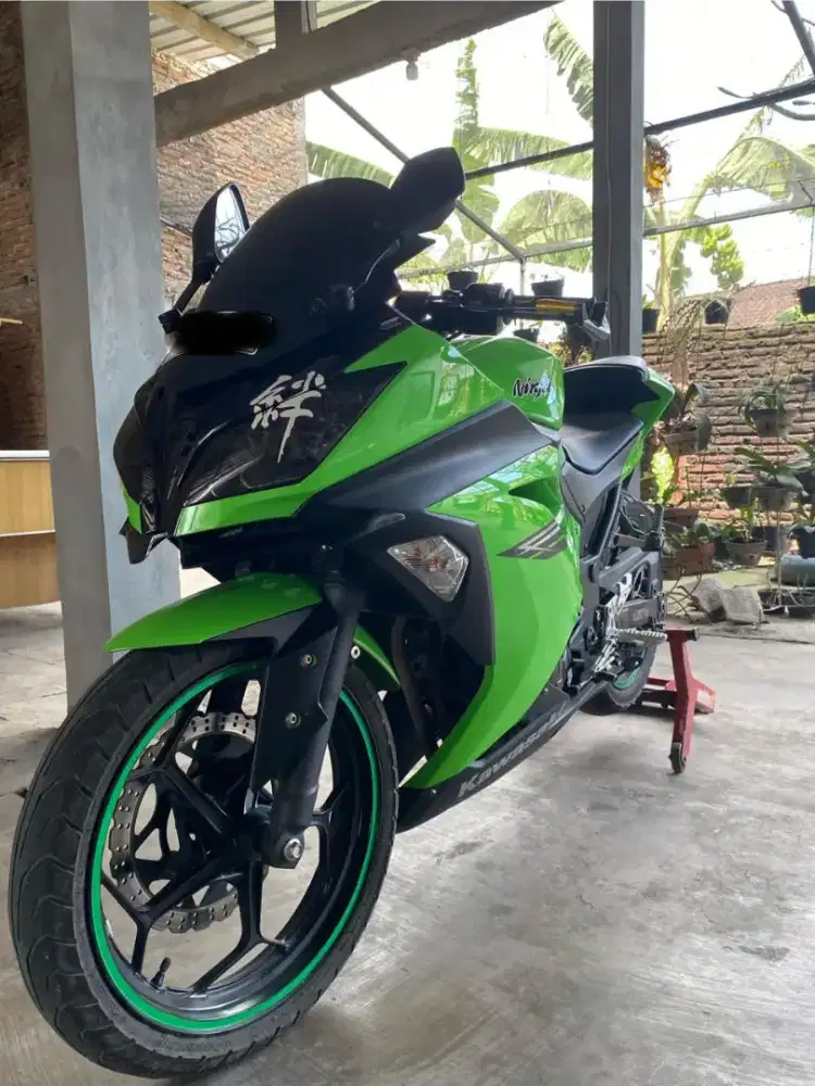 Ninja 250 fi 2017