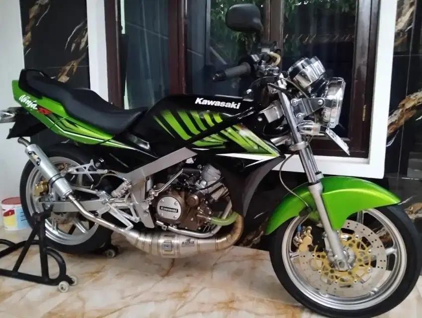 Ninja SS Zebra 2015