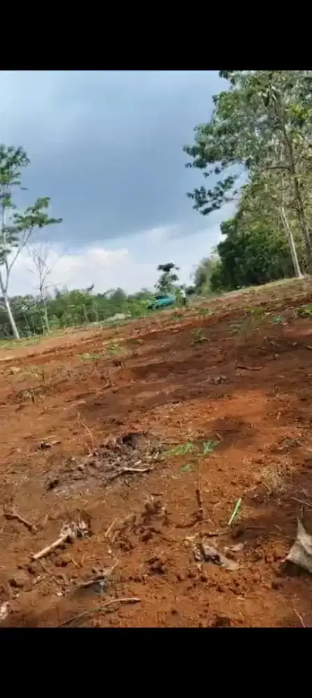 Jual tanah datar zona industri lokasi Jumantono luas 6H hrg 400rb/m ne