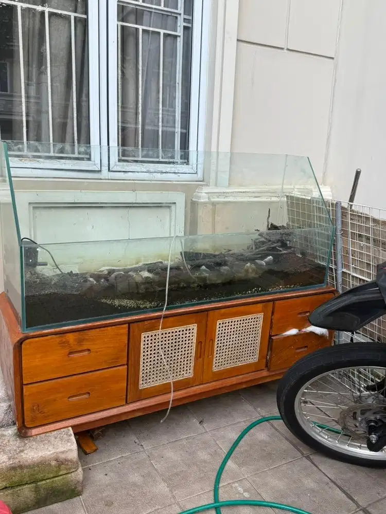 aquarium ex display aquascape ukuran 150 cm x 40 cm