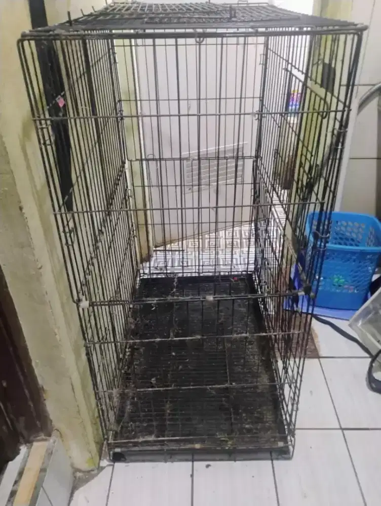 Jual kandang kucing