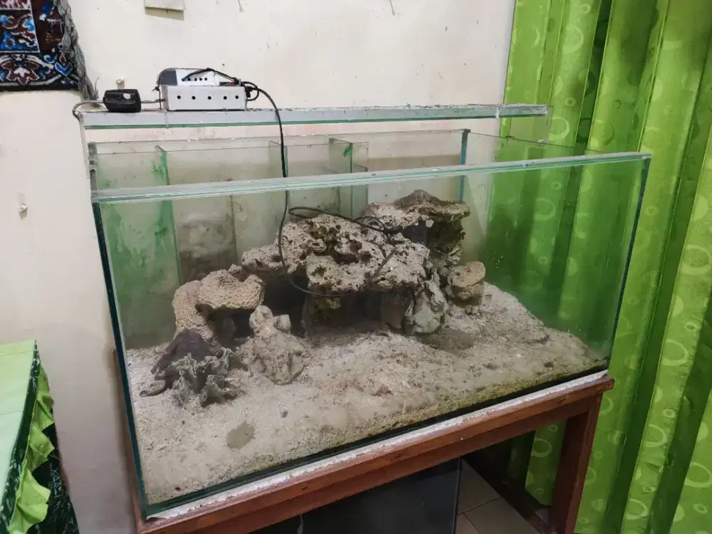 Aquarium Laut plus mejanya