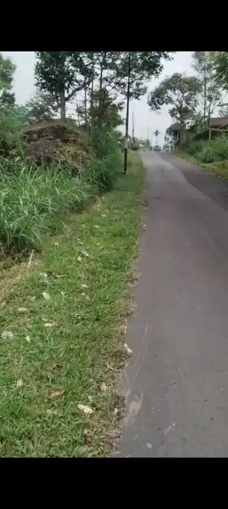 Jual tanah lokasi dekat jembatan kaca kemuning lt 350m hrg 400jt nego