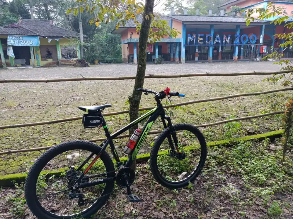 SEPEDA GUNUNG MTB PACIFIC INVERT 200