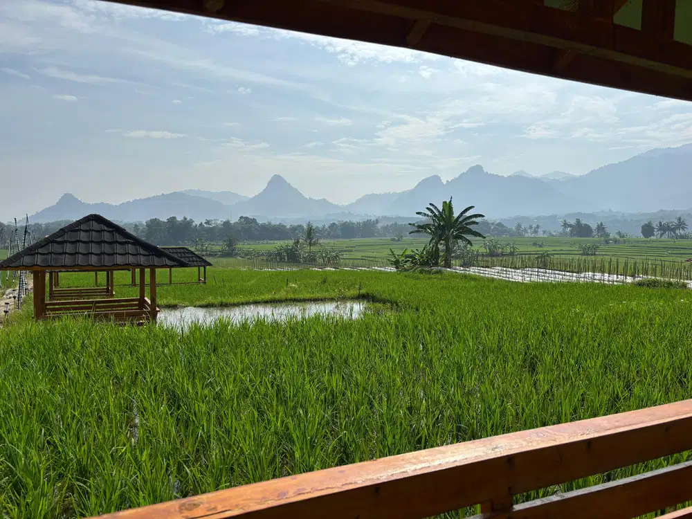 TANAH KAVLING TANJUNG SARI
