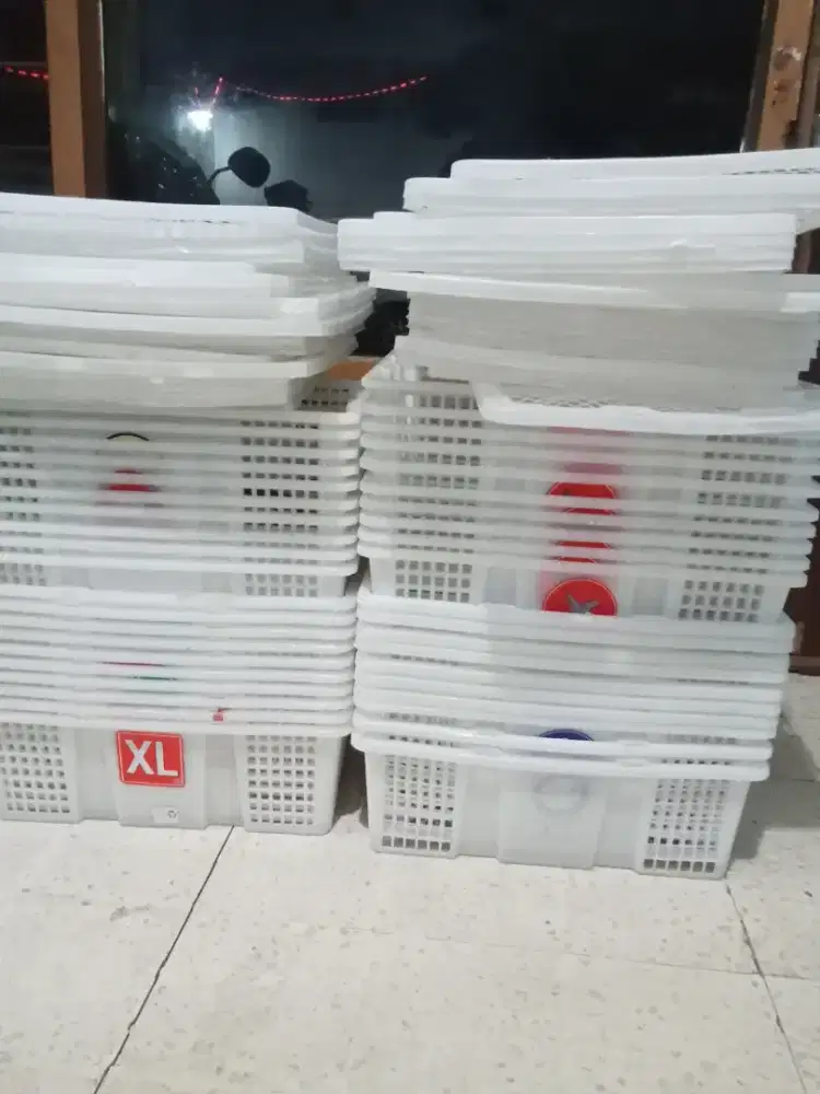 Keranjang bekas Kelengkeng