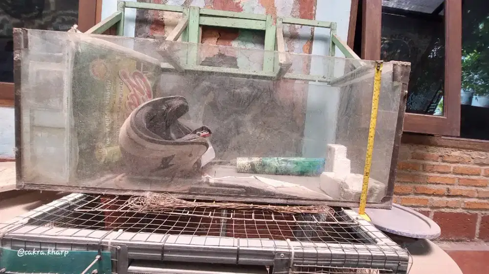 Aquarium (Tidak Terpakai)