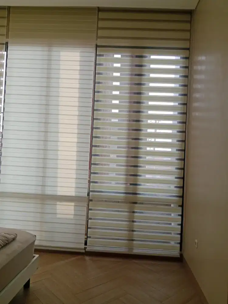 Zebra blind vinitian blind