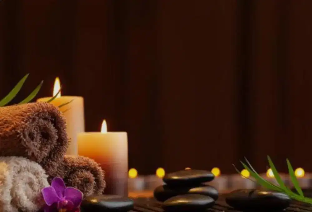 DIBUTUHKAN CALON TRAPIS WANITA