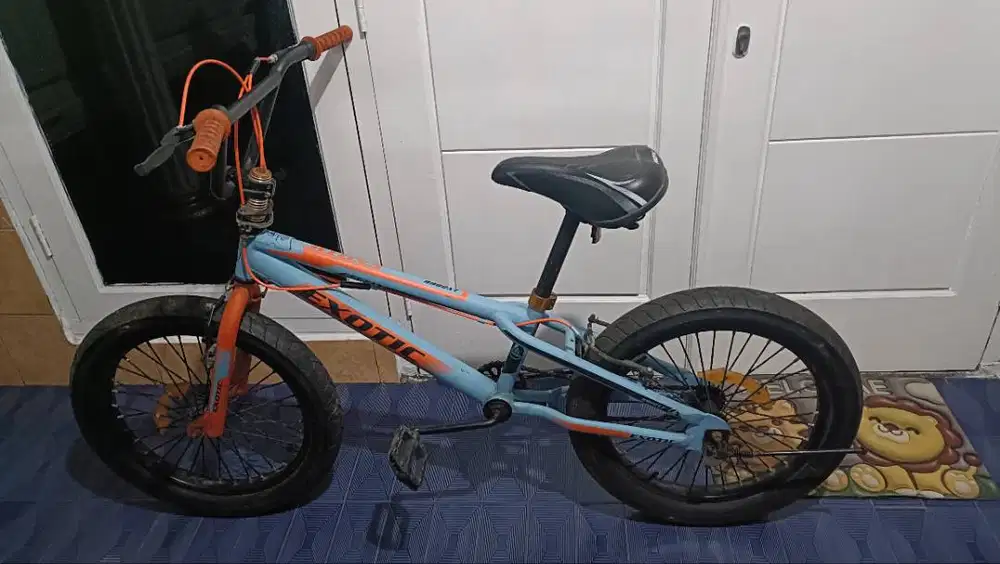 Pasific Exotic 9982XT