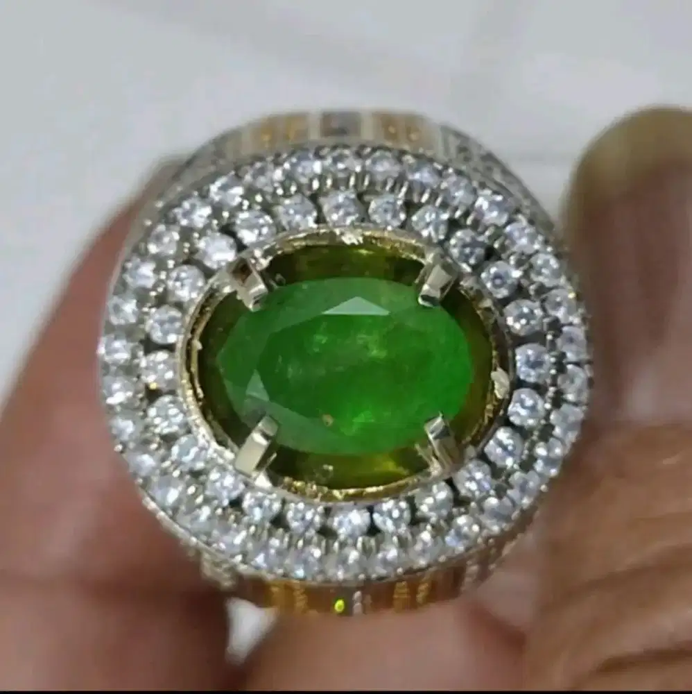 Natural Tsavorite Garnet 2.99 Carats Memo Notreated