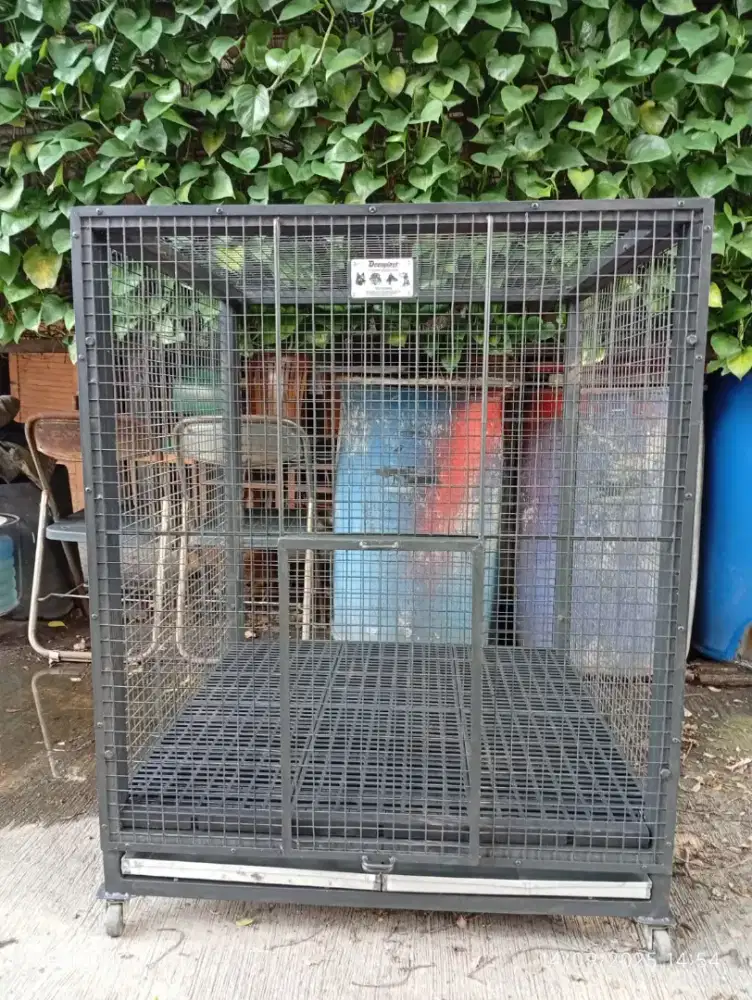 Kandang anjing besar