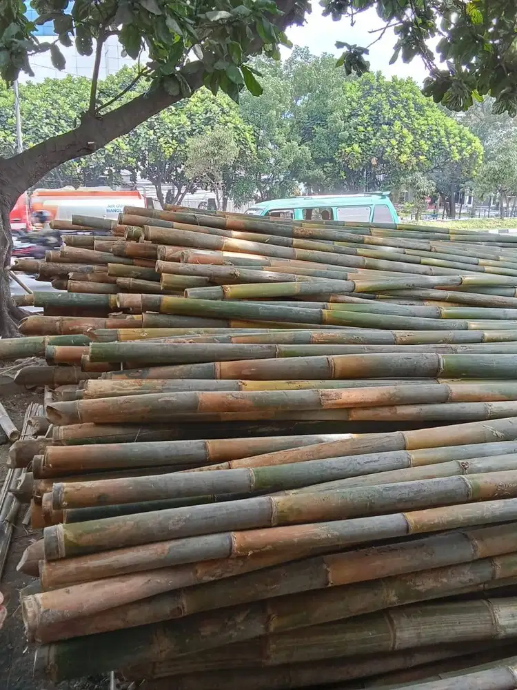 BAMBU UNTUK STEGER