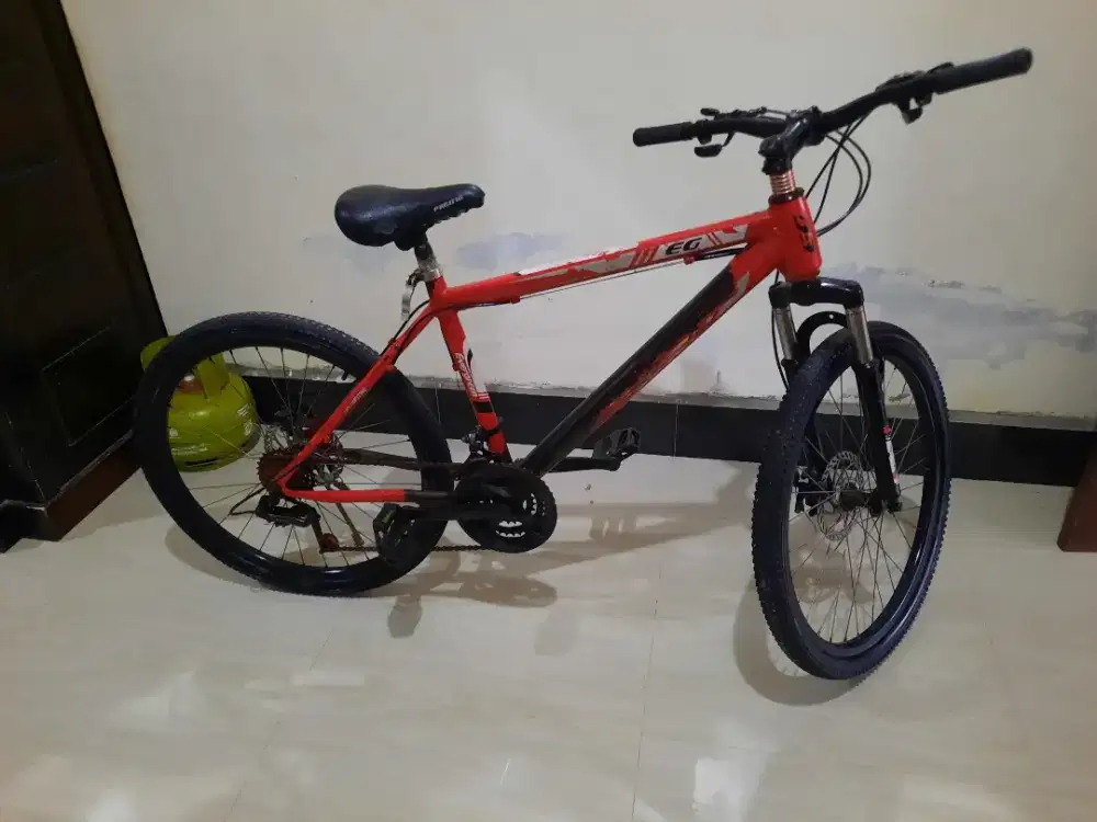 EVERGREEN BASIKAL FOR SALE