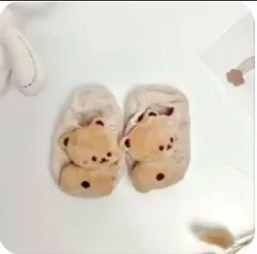 kaos kaki bayi UNISEX Sepatu anak bayi 3D | Newborn baby socks