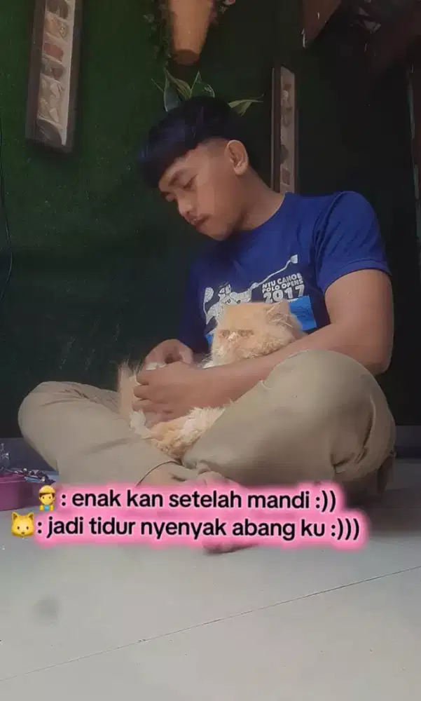 Groming Panggilan murah