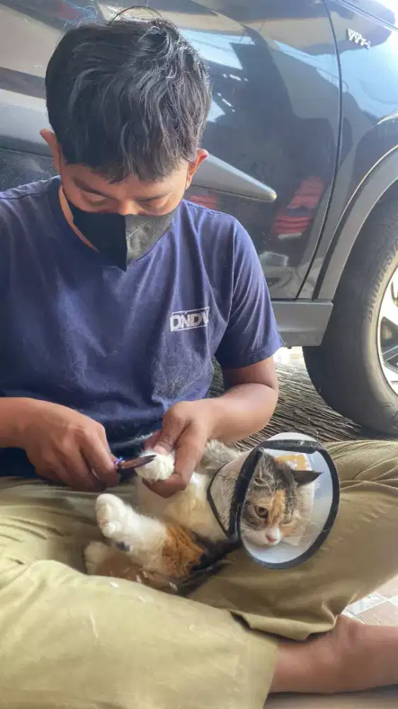 Gromin Panggilan Murah