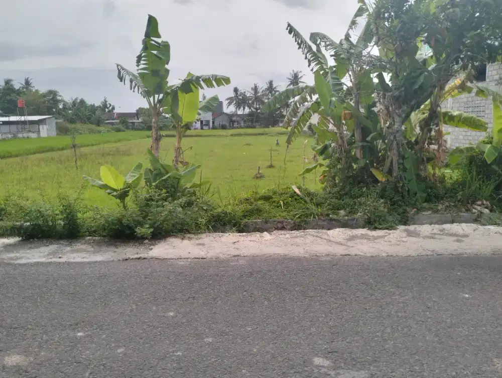 Disewakan tanah cocok untuk cafe resto atau kost di samping kampus UMY