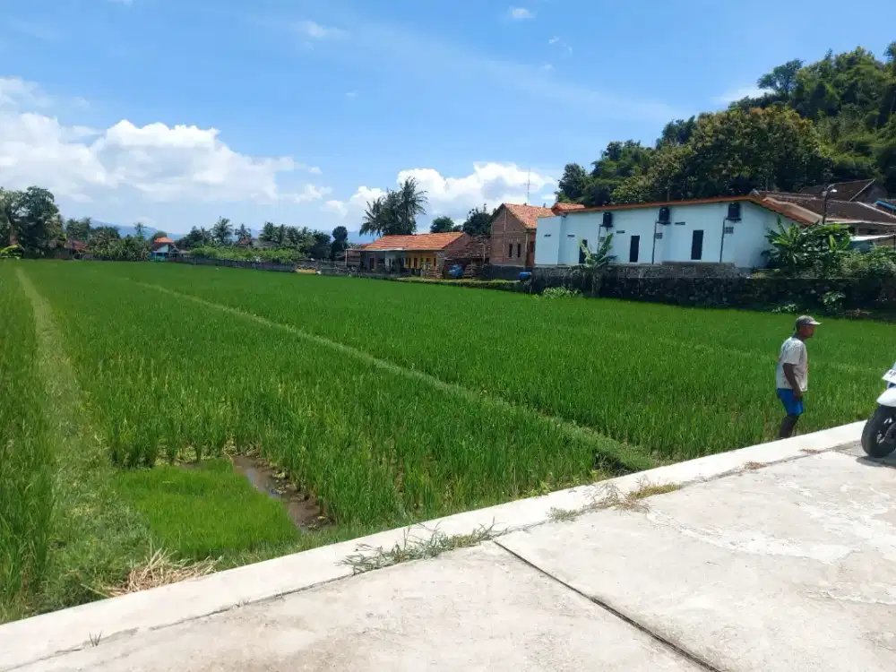 Sawah istimewa murah di Berjo barat pasar Godean Sleman