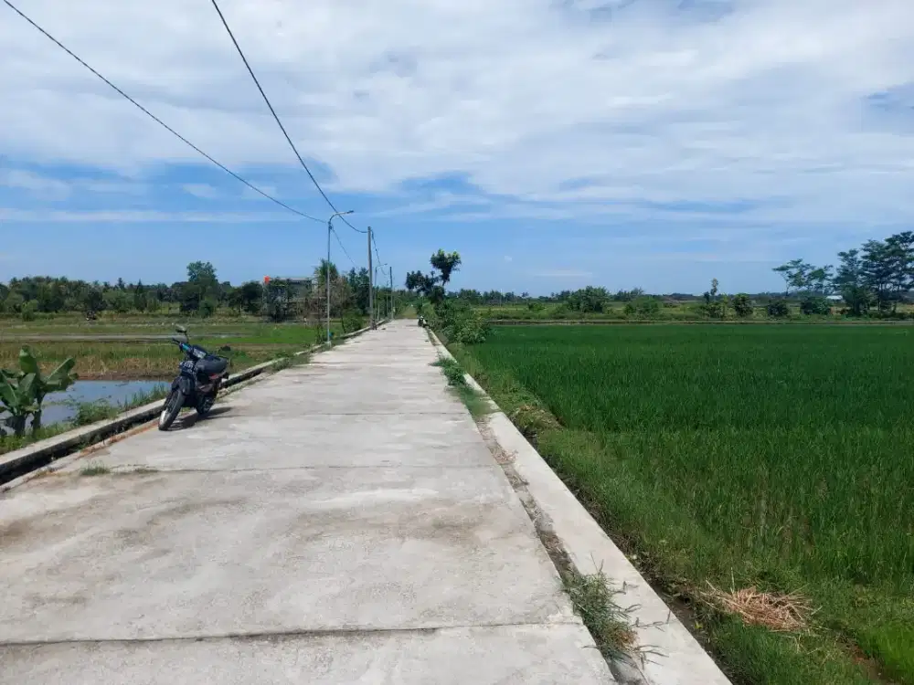Sawah super murah di Godean sleman