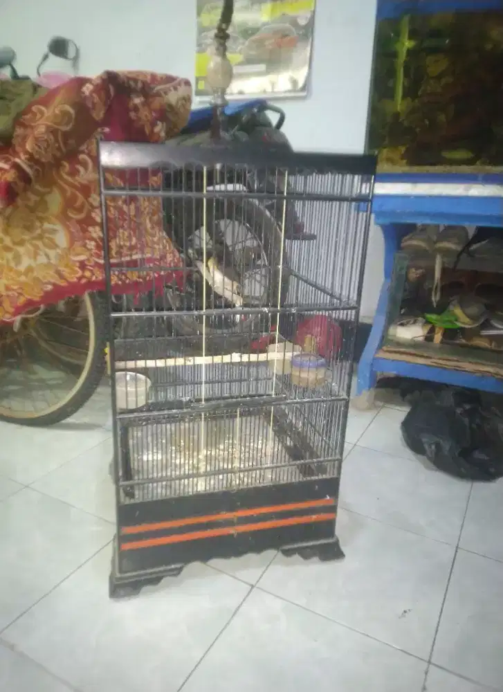Sangkar kosan kotak 40 x 40