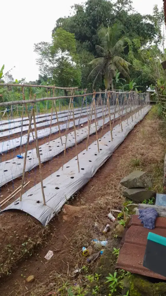 Di Jual Cepat Tanah strategis