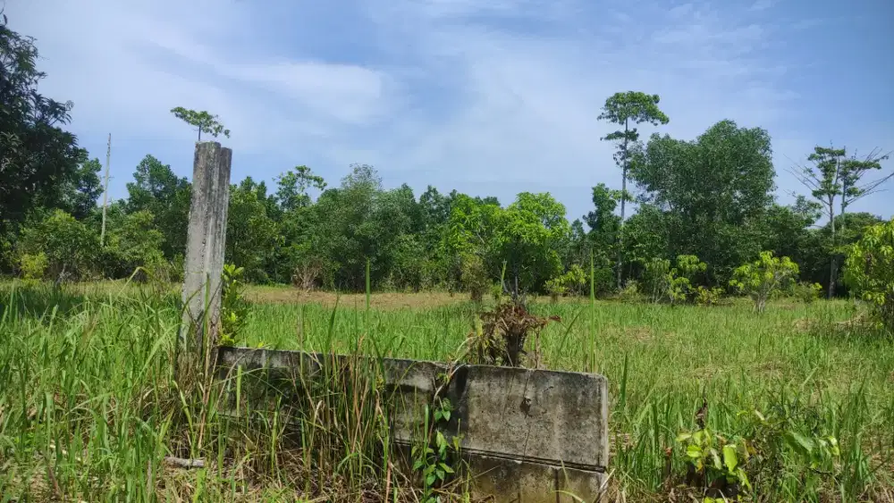 Tanah 1 ha Arengka 1 Sukarno Hatta j permata