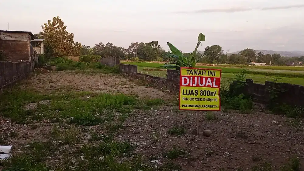 Tanah luas 800m siap bangun, mangku jl raya kalasam - cangkringan