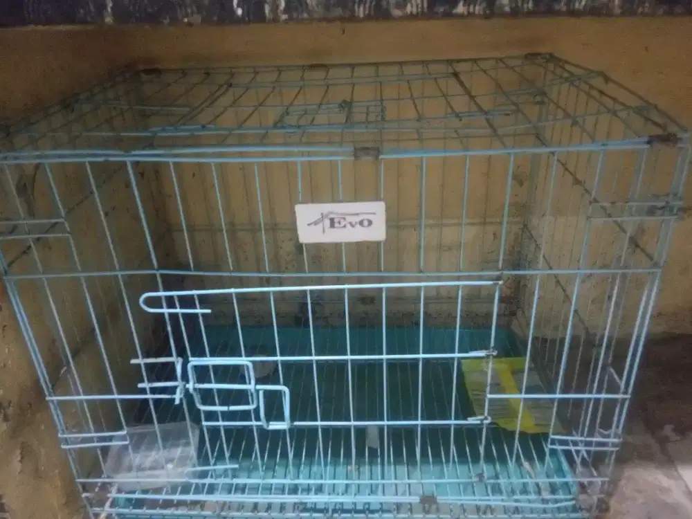 Jual kandang kucing apa adanya