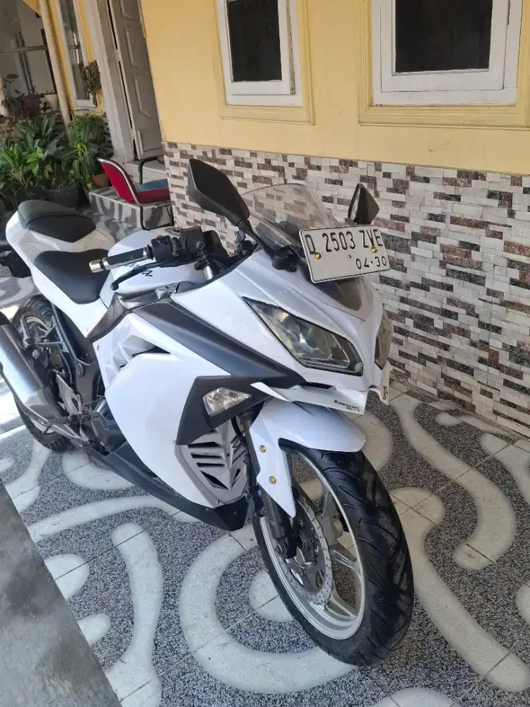 Kawasaki Ninja 250 Fi