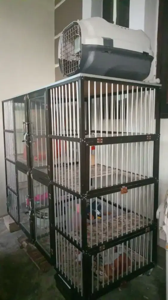 Kandang kucing 4 pintu