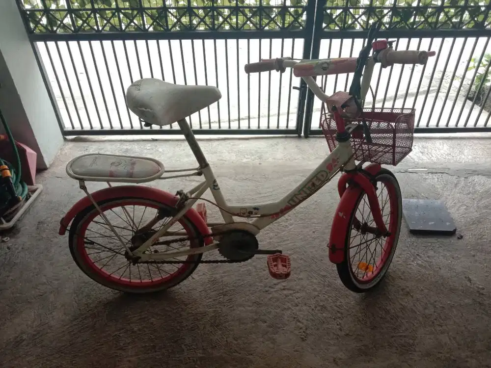 Sepeda Anak united