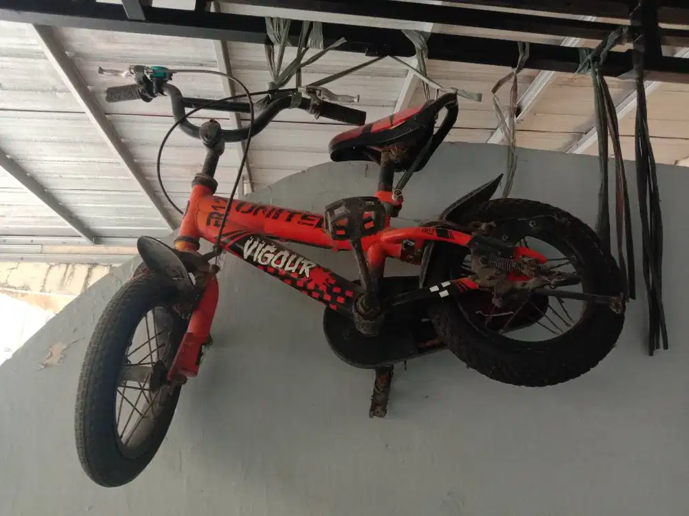 Sepeda anak United Vigour