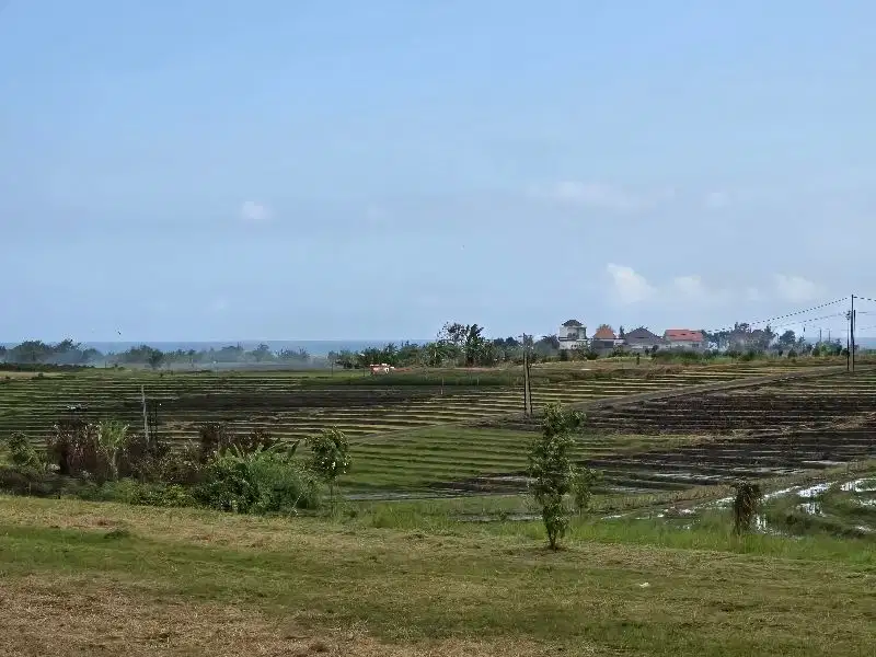 dijual tanah kecil di pasut dengan view sawah terasering