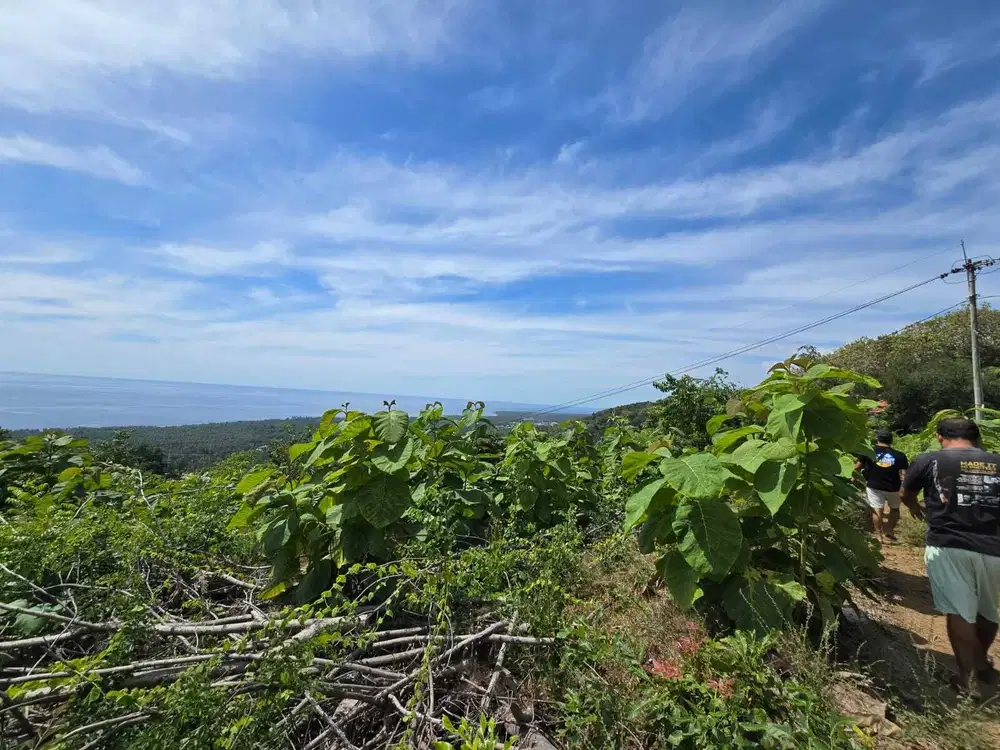 Dijual tanah view laut dekat rencana bali utara