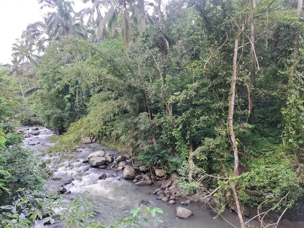 Dijual tanah kecil los sungai besar di tabanan bali