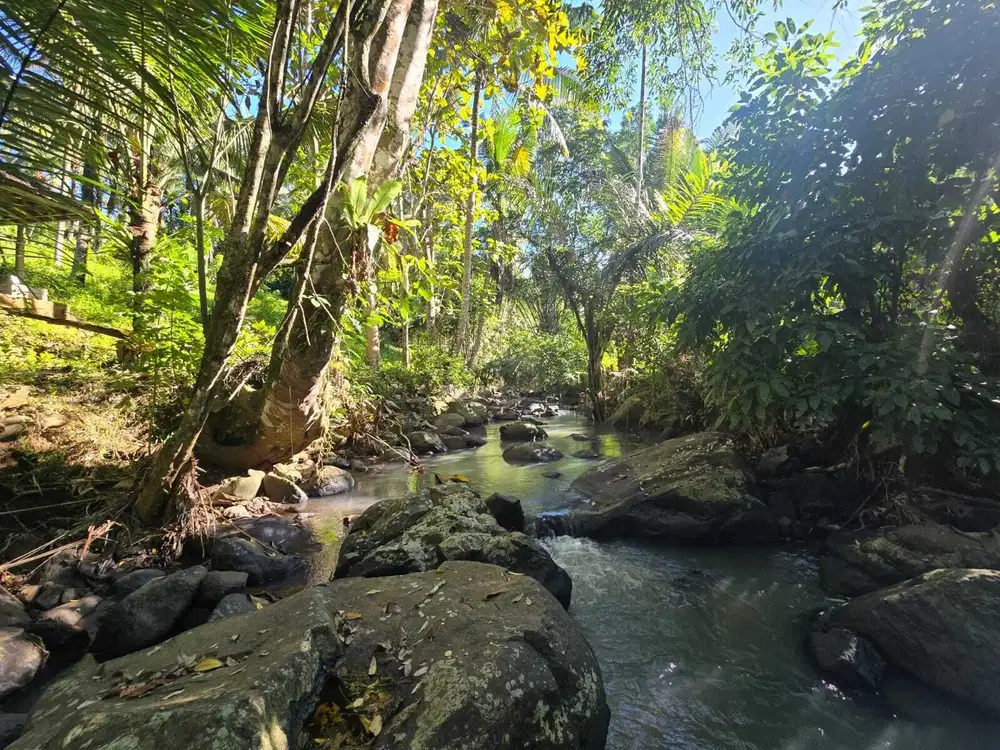 Dijual tanah di bali los sungai dengan view exotik jugle