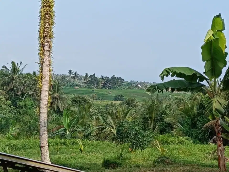 Dijual tanah kebun view sawah cantik dekat kota di bali