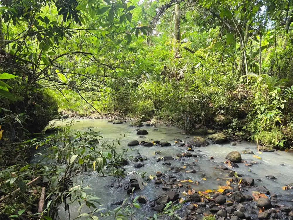 Dijual tanah kecil los sungai di tababan bali