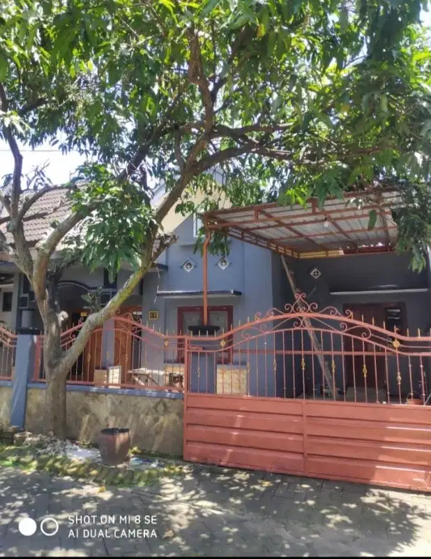 dijual murah rumah di kota malang area kampus