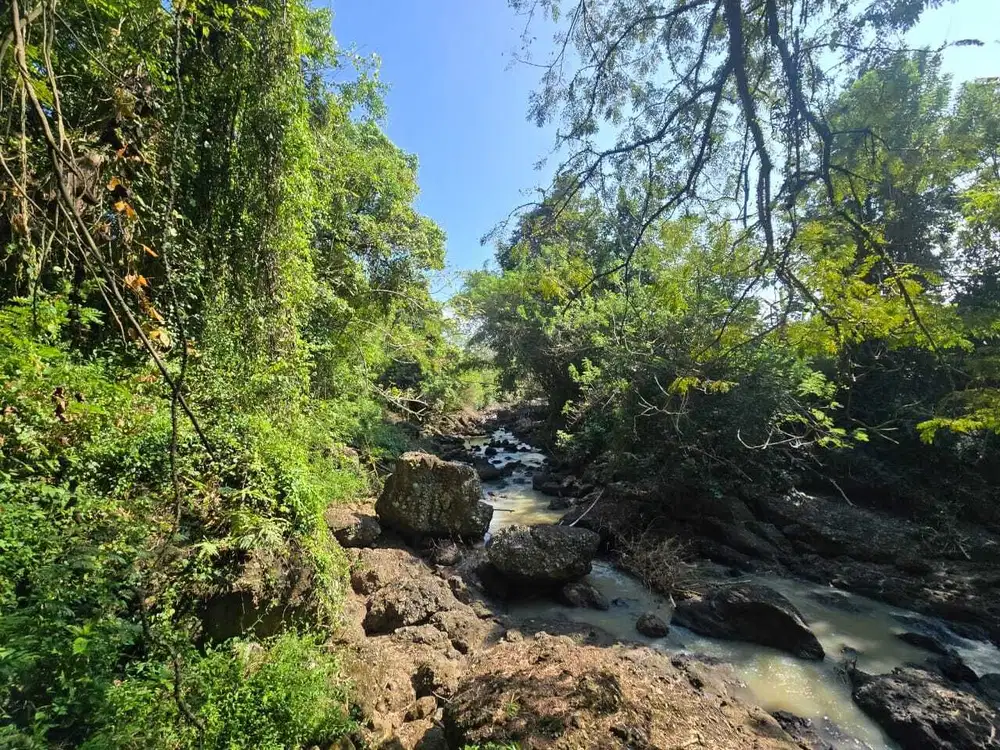 Dijual tanah murah los sungai bebatuan   di bali