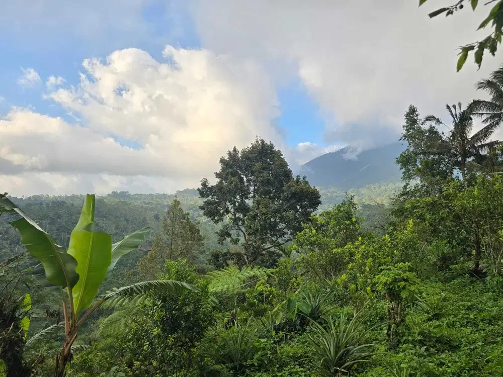 Dijual tanah murah view gunung dekat camp di bali