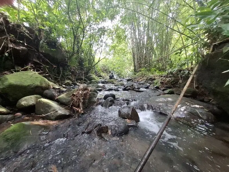 Dijual tanah los sungai dan view sawah di tabanan bali