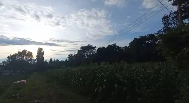 Jual kavling komersial ‼️dkt JATIM PARK  CLUB BUNGA